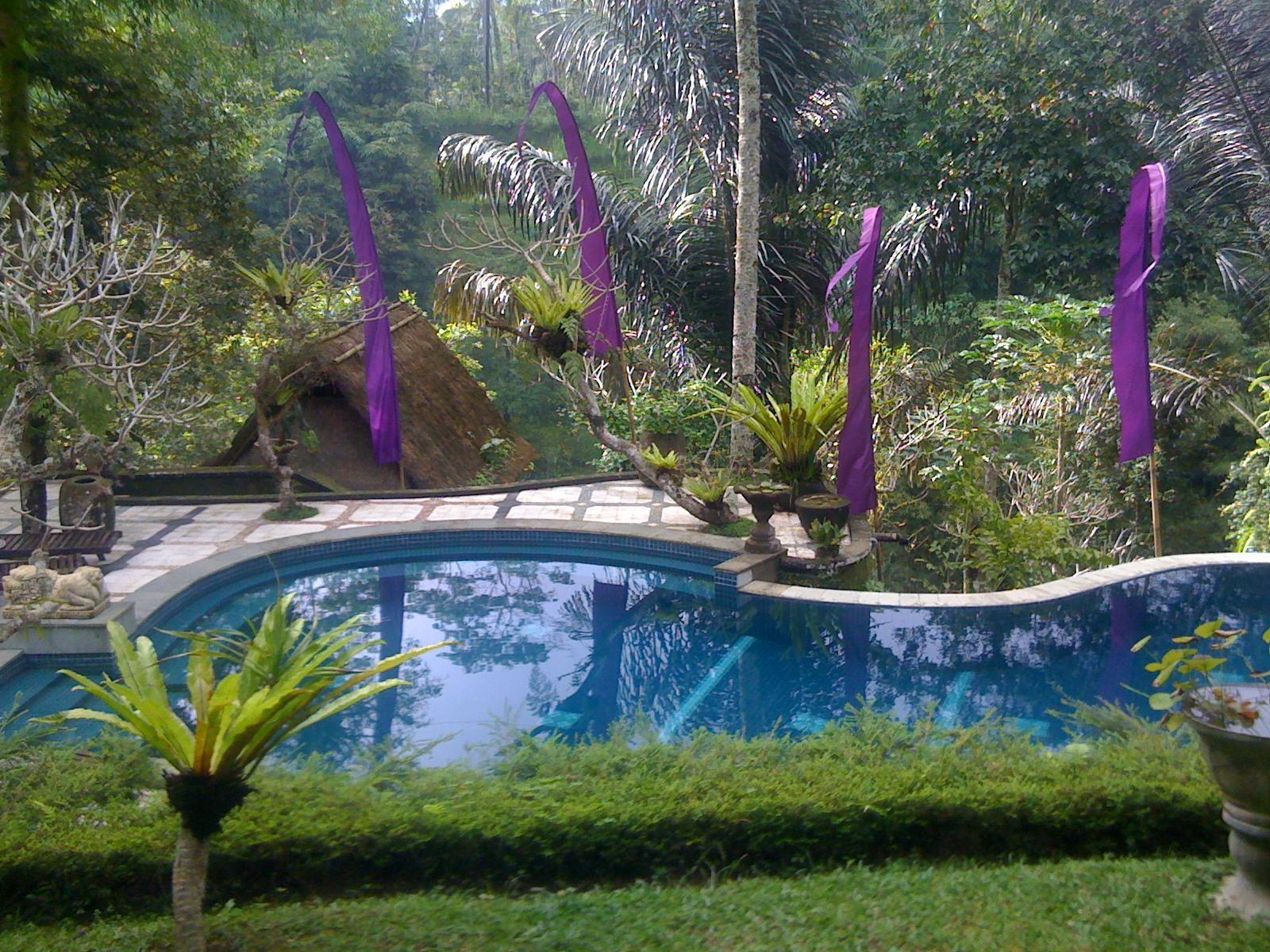 Abisha Mystique Villa Ubud Buitenkant foto